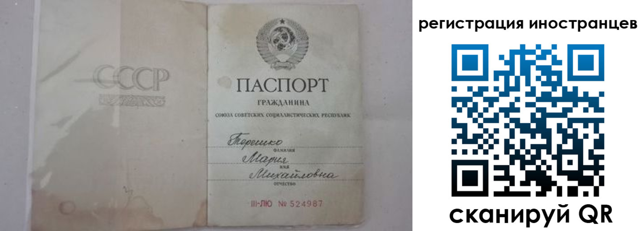 прописка паспорт в Димитровграде